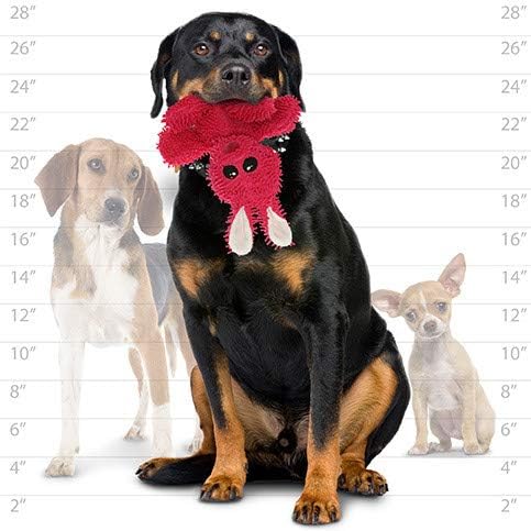 MIGHTY- Microfiber Ball Rabbit-– Made with Squeaker Balls and Minimal Stuffing. Strong & Tough. Interactive Play Dog Toy. Machine Washable & Floats (Medium)