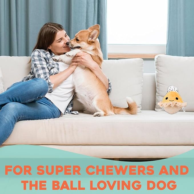 Flourish Pets 2 in 1 Multi-Layer Chew Toy for Active Dogs | Non-Toxic BPA Free Double Stitched Soft Fabric Exterior Dog Toys | Long-Lasting Dog Plush Toys ā Pumpkin Pie