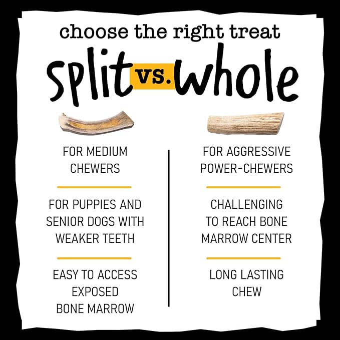 Snatchers Split Elk Antlers for Dogs – Long Lasting Dog Chews and Dog Toys for Aggressive Chewers, Naturally Shed Deer Antlers for Dogs Processed in The USA, No Additives (Medium, 5-7", 1 Count)