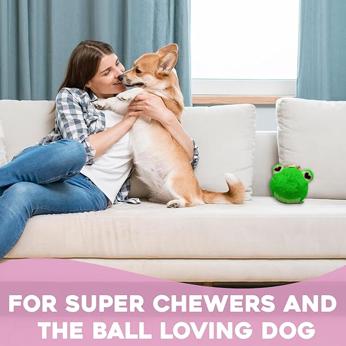 Flourish Pets 2 in 1 Multi-Layer Chew Toy for Active Dogs | Non-Toxic BPA Free Double Stitched Soft Fabric Exterior Dog Toys | Long-Lasting Dog Plush Toys ā Love Frog 3.5"