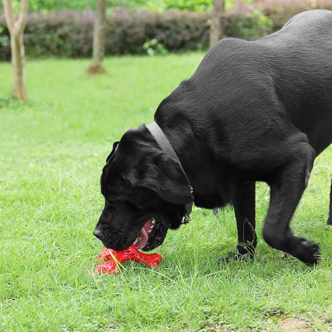 Dog Chew Toys for Aggressive Chewers Large Breed,Indestructible Bones Toy,Durable Cleaning Toothbrush Natural Rubber Dog Toys… (Red)