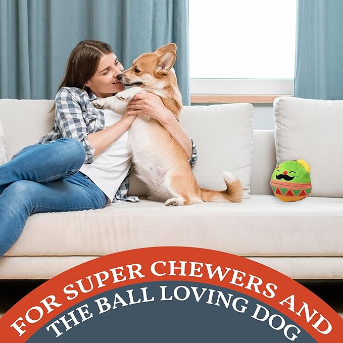 Flourish Pets 2 in 1 Multi-Layer Chew Toy for Active Dogs | Non-Toxic BPA Free Double Stitched Soft Fabric Exterior Dog Toys | Long-Lasting Dog Plush Toys ā Mr. Guac 3.5"