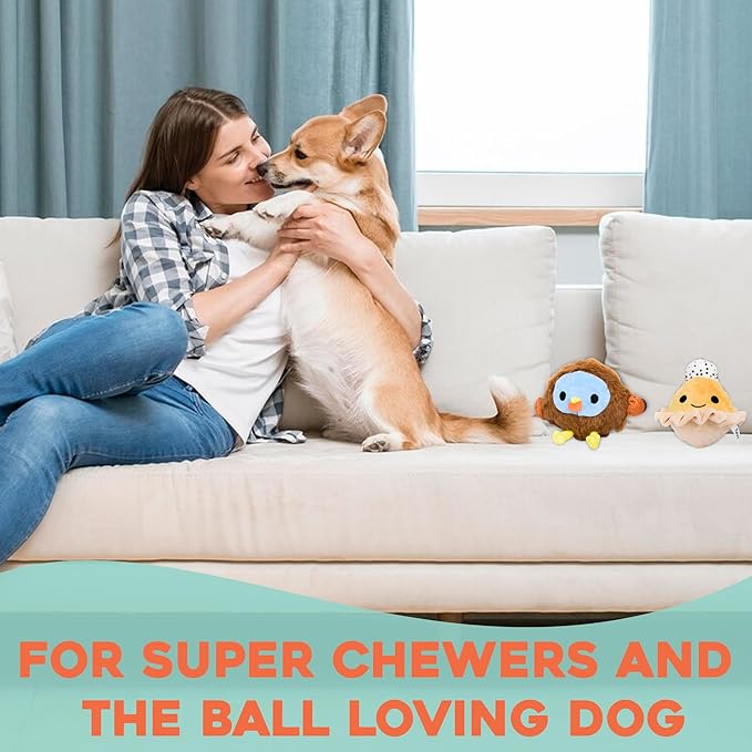 Flourish Pets 2 in 1 Multi-Layer Chew Toy for Active Dogs | Non-Toxic BPA Free Double Stitched Soft Fabric Exterior Dog Toys | Long-Lasting Dog Plush Toys ā Turkey + Pumpkin (4ā)