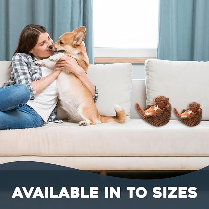 Flourish Pets 3 in 1 Multi-Layer Chew Toy for Active Dogs | Non-Toxic BPA Free Double Stitched Soft Fabric Exterior Dog Toys | Long-Lasting Dog Plush Toys ā Small Armadillo 5.5"