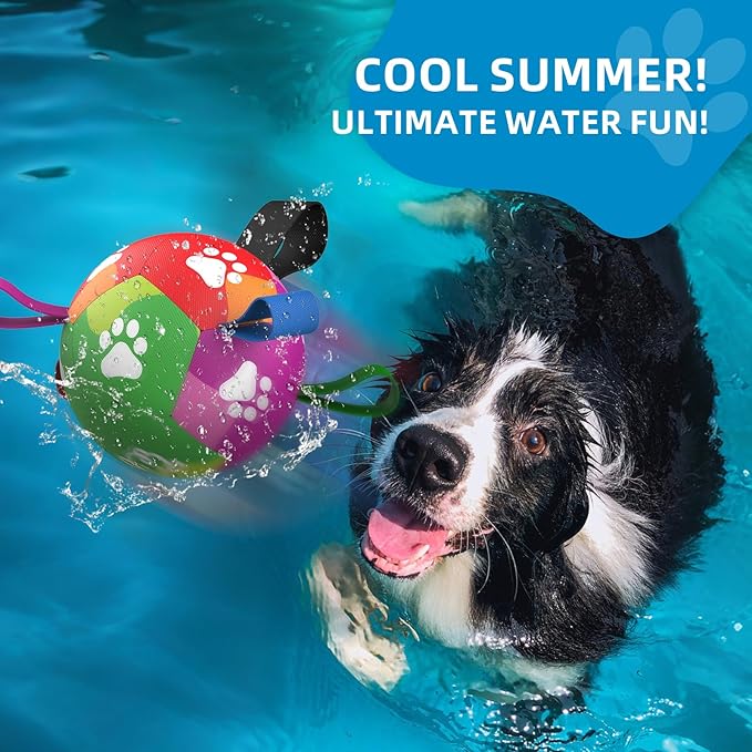 QDAN Dog Toys for Small Dogs, Puppy Toys, Dog Soccer Ball with Straps, Balls for Dogs Toys, Dogs Birthday Gift (5 Inch)