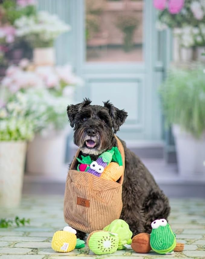 Nocciola Small Squeaky Crinkle Dog Toys- 15 Packs Grocery Basket Fruits Veggies Puppy Toys to Keep Busy, Cute Durable Plush Stuffed Hide Seek Cognitive Dog Christmas Stocking Stuffers
