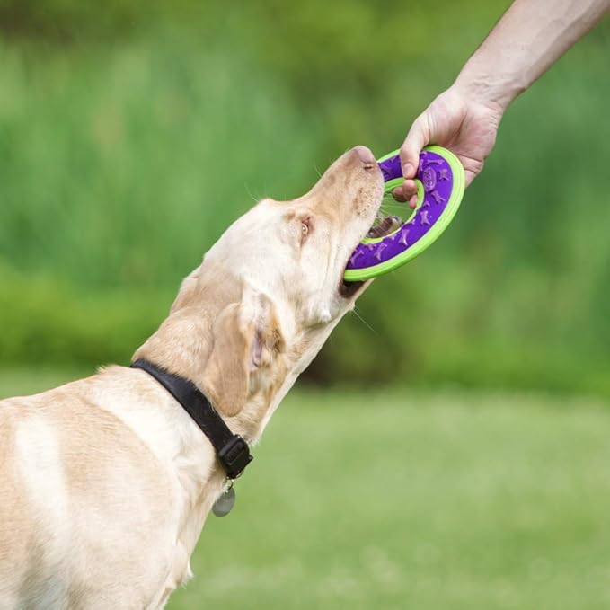Hero Outer Armor, Fetch Ring Dog Toy, Floats & Squeaks, Purple