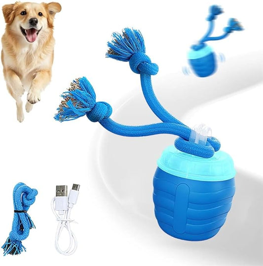 Interactive Dog Toys, 2026 Upgrade Interactive Rolling Cat Dog Ball Toy, Rechargeable Automatic Moving Dogs Toy Wicked Ball for Boredom Medium Small Puppy Dogs (Blue)