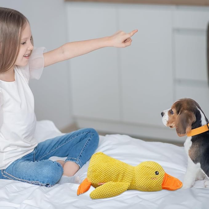 Duck Dog Toy for Dogs Pet Supplies,2025 Upgrade Durable Calming Ducks Dog Toy,Squeak Dog Toys Stuffed Fun for Indoor Puppies Small Dog Indoor Puppy Essentials (Pink Green)