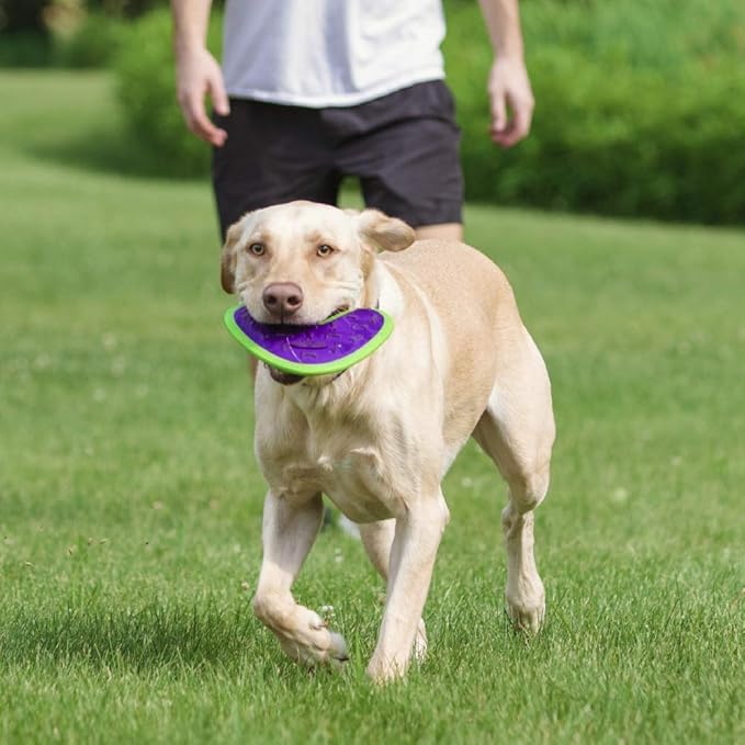 Hero - Outer Armor Boomerang Dog Toy - Dog Chew Toy - Dog Toys - Puppy Toys - Pet Toys - Designed for Medium to Large Sized Dogs from 45-65 lbs - Purple