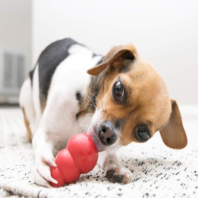KONG Classic Stuffable Dog Toy - Fetch & Chew Toy for Dogs - Treat-Filling Capabilities & Erratic Bounce for Extended Play Time - Durable Natural Rubber Material - for Extra Small Dogs