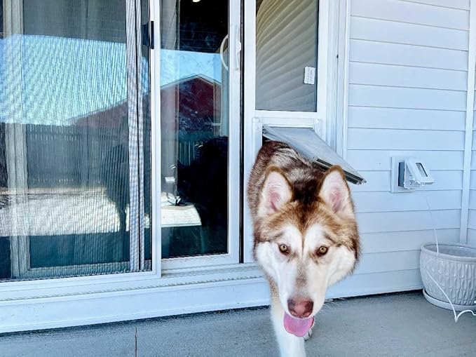 Endura Flap Pet Door for Vinyl Sliding Glass Doors | Dual-Flap Extreme Weather Design | Insulated, Energy-Efficient Dog Door with Locking Security | White, Small Flap, 77.25"-80.25" Slider Height