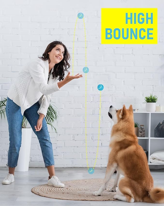 Prime Pets Durable Dog Tennis Balls 3 Pack, 2.5” High-Bounce Non-Squeaky Dog Toy Balls for Fetch & Outdoor Training, Suitable for Small and Medium Dogs