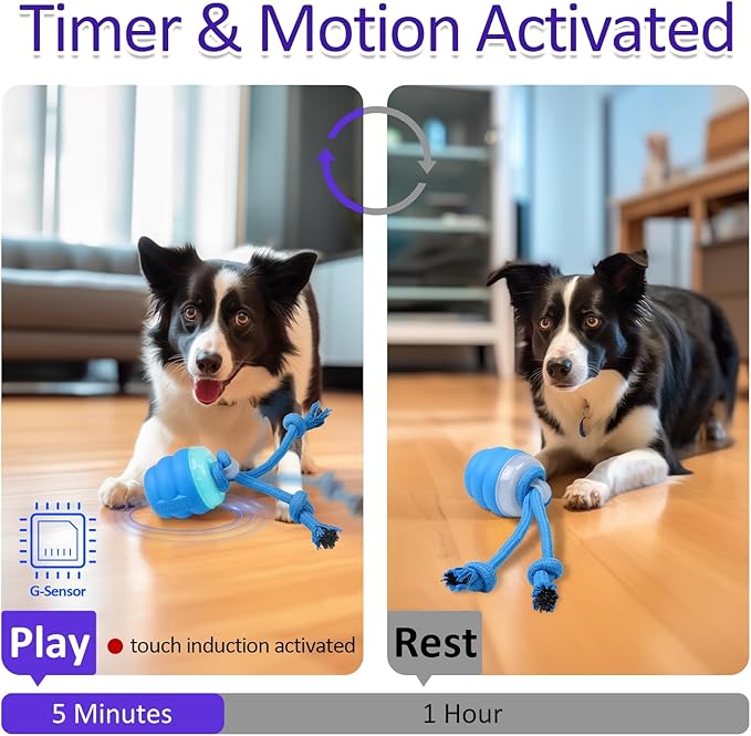 Interactive Dog Toys Touch Activated Bouncing & Jumping Dog Ball with Rope, Squeaky Doggie Toys to Keep Them Busy