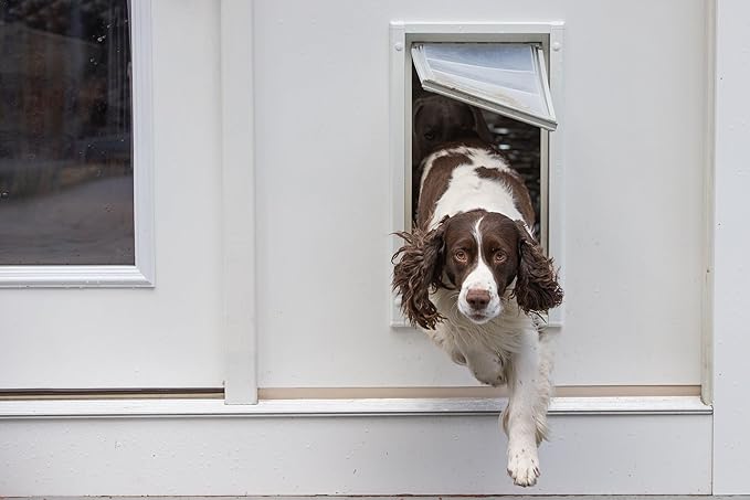 Endura Flap Giant Dog Door for Walls | Designed for Extra-Large & Tall Dogs | Energy Efficient Wall Mount Pet Door | Durable & Pet Safe | White, Single Flap Wall Mount