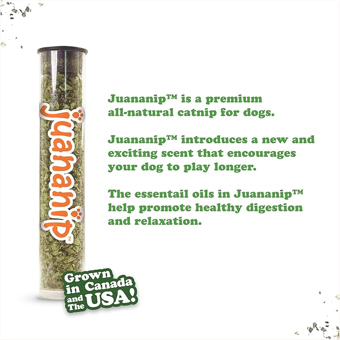 Doggijuana Tuffer Chewer Mini Plush Dog Toy | Funny Dog Toy Plush with Juananip Catnip for Dogs | Calming Aid for Dogs | Interactive Squeaky Chew Toy for Play (Pretzel Ring)