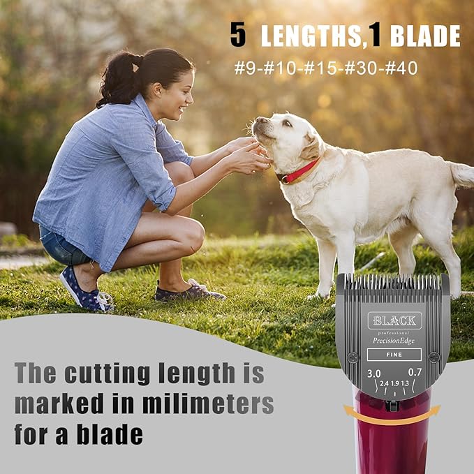 Audoc Adjustable 5 in 1 Blades Dog Grooming Blades Compatible with Wahl Animal Clipper Arco, Bravura, Chromado, Creativa, Figura, and Motion Pet, Dog, and Horse (BLACK/3PC)