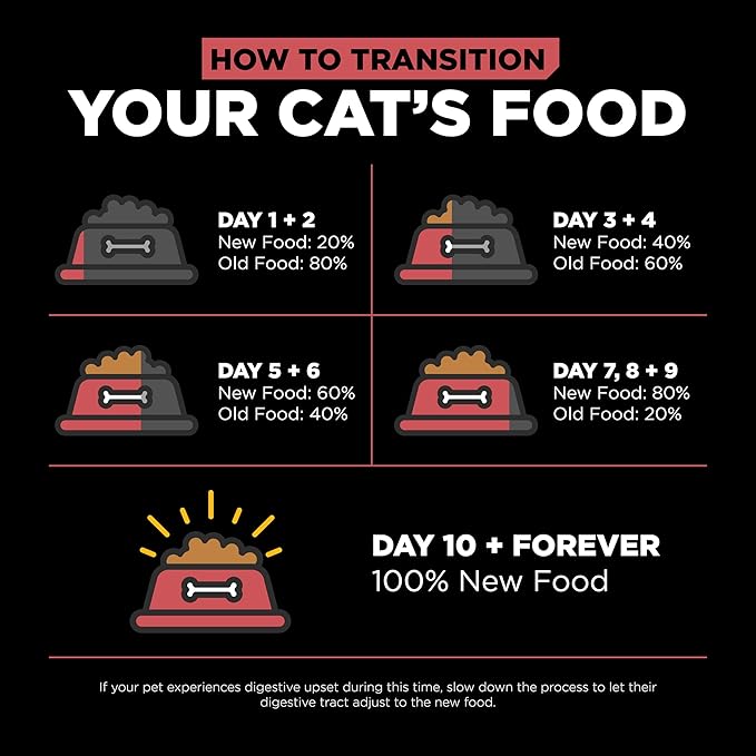 Go! Solutions Sensitivities Limited Ingredient Salmon Grain-Free Dry Cat Food, Chicken-Free Kibble Made by Experts for Sensitive Stomachs & Food Allergies, for Kittens, Adults, & Seniors, 3 lb Bag