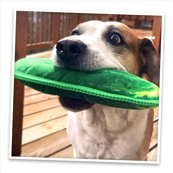 Doggijuana Tuffer Chewer Plush Dog Toy | Funny Dog Toy Plush with Juananip Catnip for Dogs | Calming Aid for Dogs | Interactive Squeaky Chew Toy for Play (Dill Pickle)