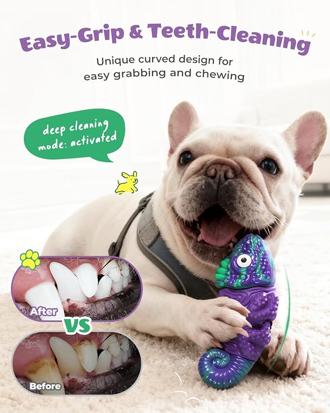 Dog Toys for Aggressive Chewers: Squeaky Dog Chew Toys for Medium & Large Dogs, Indestructible Dog Toy to Keep Them Busy, Easy to Use and Clean, Teeth Cleaning, Bacon Flavor