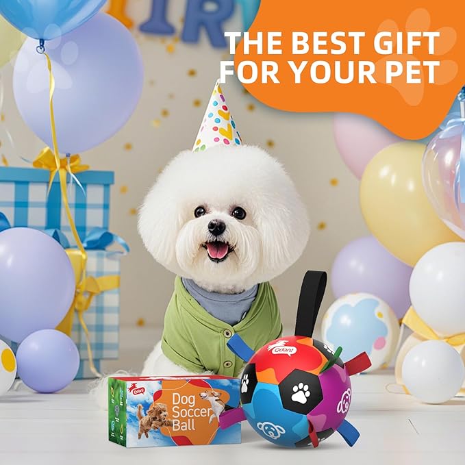 QDAN Dog Toys, Durable Dog Balls with Straps to Keep Them Busy, Outdoor Dog Soccer Ball for Small Medium Large Pets, Birthday Toy, Interactive Training Herding Ball (6 Inch)