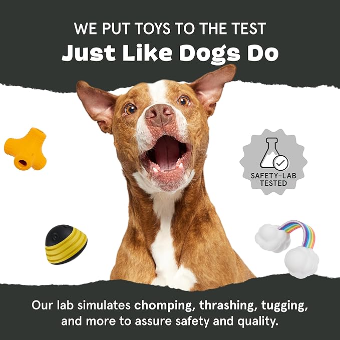 Barkbox Pork Chomp Dog Toy for Durable Tough Nylon Construction with a Gnaw-Friendly Texture, Perfect for Long-Lasting Chewing Fun - Medium