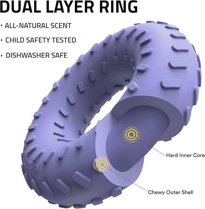 Playology Dog Toys | Dual Layer Ring Durable Chew Toy for Aggressive Chewers | Jumbo Blueberry Scented Toy - Easy to Clean and Made from Non Toxic Materials