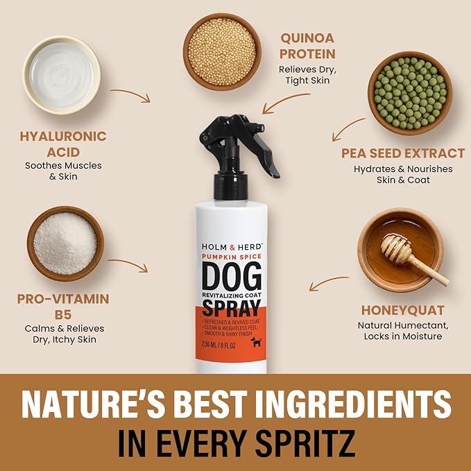 Pumpkin Spice Dog Care Gift Bundle – 3 Piece Grooming Set with Bubble Bath Shampoo Alternative, Deodorizing Coat Spray & Moisturizing Serum – Luxury Spa Kit & Fall Dog Gift (Pumpkin Spice)