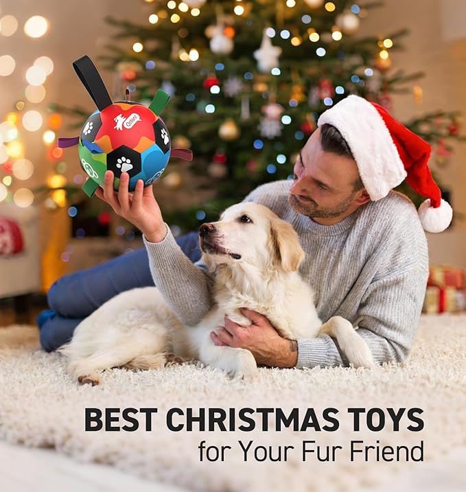 QDAN Dog Toys, Durable Dog Balls with Straps to Keep Them Busy, Outdoor Dog Soccer Ball for Small Medium Large Pets, Birthday Toy, Interactive Training Herding Ball (6 Inch)