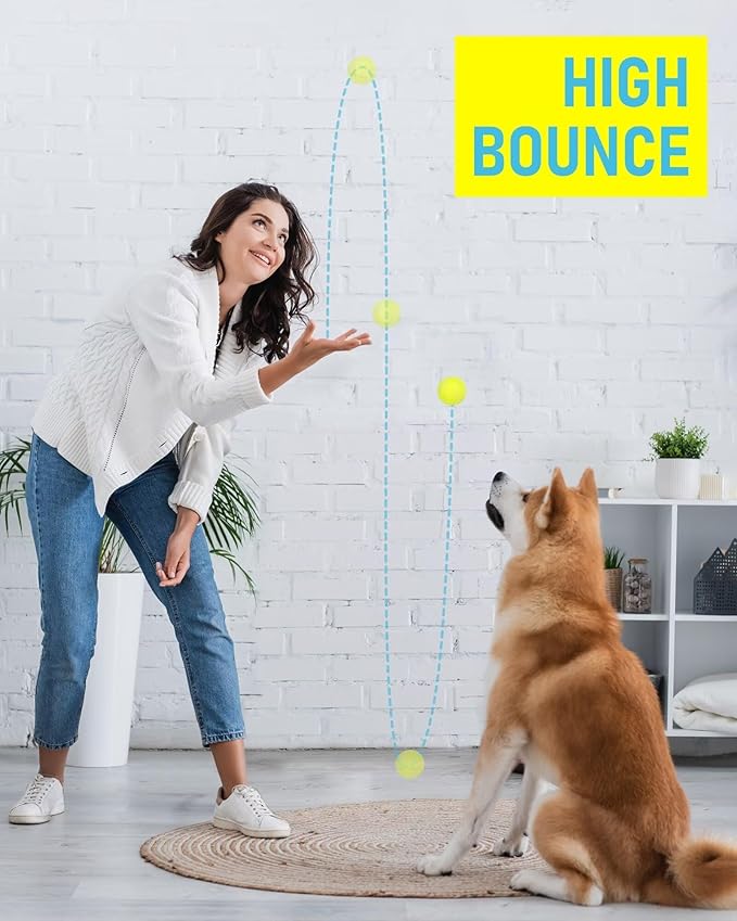 Prime Pets Dog Tennis Balls 12 Pack, 2.5” Durable High-Bounce Tennis Balls for Dogs, Dog Toy Ball for Fetch & Training, Outdoor & Indoor Interactive Dog Ball for Small and Medium Dogs