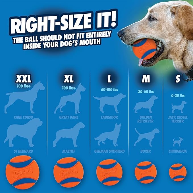 Chuckit! Ultra Ball Dog Toy - Medium Bouncy Fetch Balls for Dogs 20-60 lbs - Made from Durable Rubber - Floating Water Pet Toys - Size Medium - 2.5-inch Diameter - Pack of 8