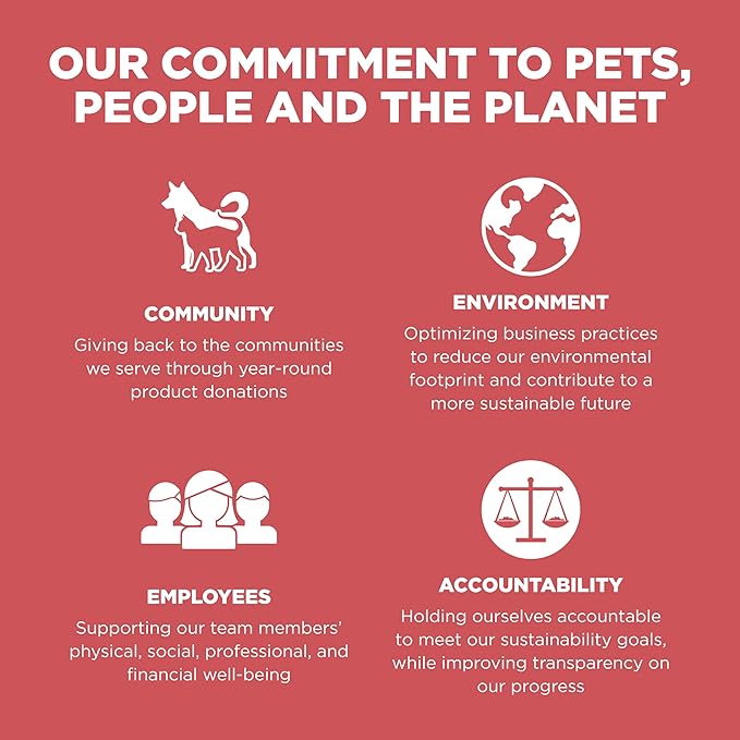 Go! Solutions Sensitivities Limited Ingredient Salmon Grain-Free Dry Cat Food, Chicken-Free Kibble Made by Experts for Sensitive Stomachs & Food Allergies, for Kittens, Adults, & Seniors, 3 lb Bag