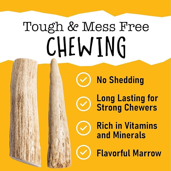 Snatchers Elk Antlers for Dogs – Long Lasting Dog Chews and Dog Toys for Aggressive Chewers, Naturally Shed Deer Antlers for Dogs Processed in The USA, No Additives (Medium, 5-7", 1 Count)