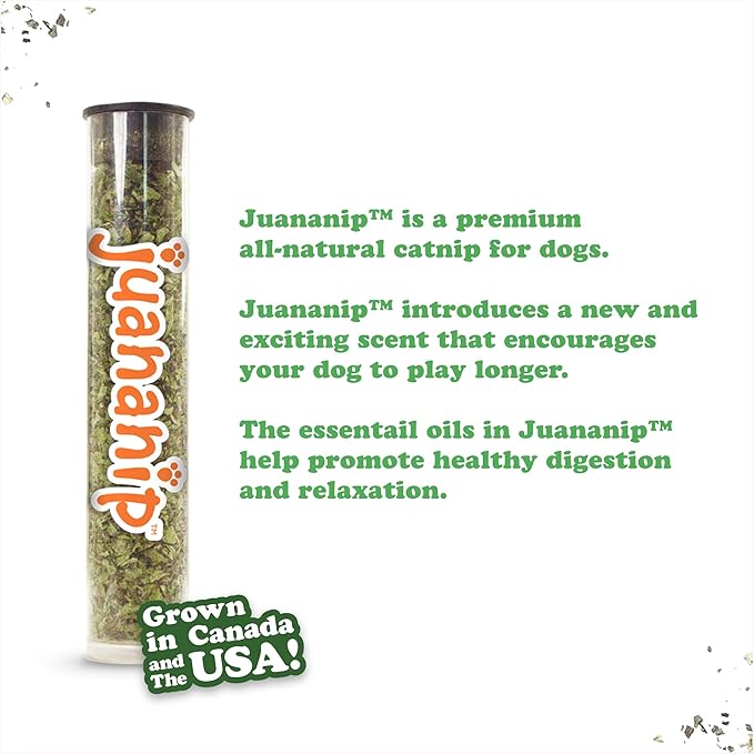 Doggijuana Tuffer Chewer Plush Dog Toy | Funny Dog Toy Plush with Juananip Catnip for Dogs | Calming Aid for Dogs | Interactive Squeaky Chew Toy for Play (Sprinkled Donut)
