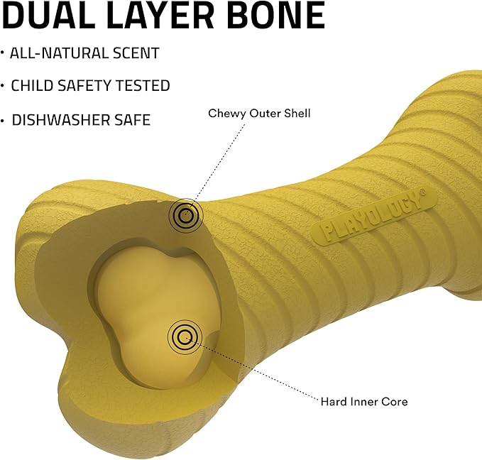 Playology Dog Toys | Dual Layer Bone Durable Chew Toy Bone for Dogs, Value 2-Pack | Small Apple Cider Scented Toy - Limited Edition Fall Scent | Easy to Clean and Made from Non Toxic Materials