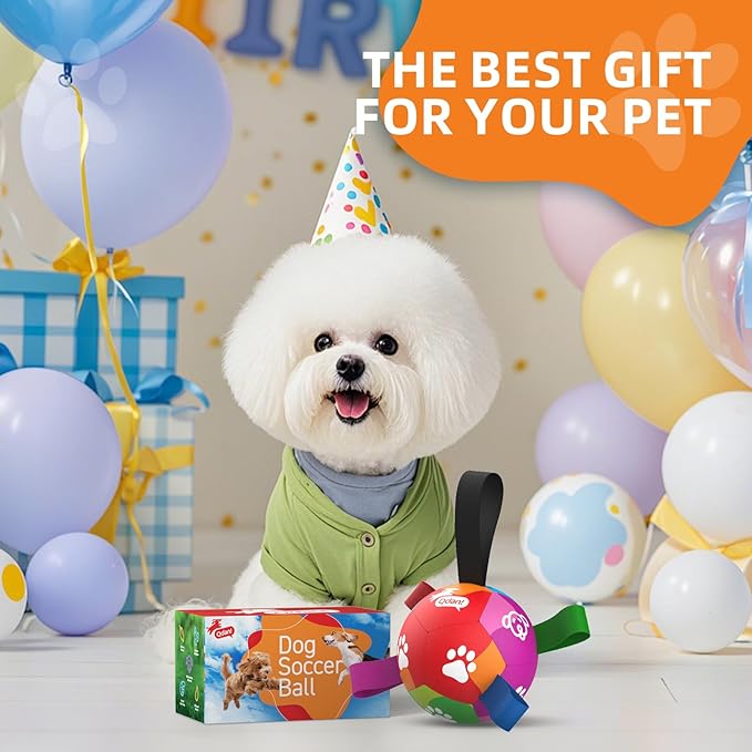 QDAN Dog Toys for Small Dogs, Puppy Toys, Dog Soccer Ball with Straps, Balls for Dogs Toys, Dogs Birthday Gift (5 Inch)