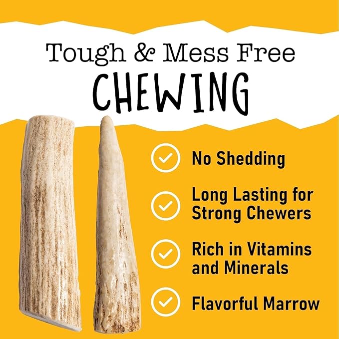 Snatchers Split Elk Antlers for Dogs – Long Lasting Dog Chews and Dog Toys for Aggressive Chewers, Naturally Shed Deer Antlers for Dogs Processed in The USA, No Additives (Jumbo, 9-13", 1 Count)