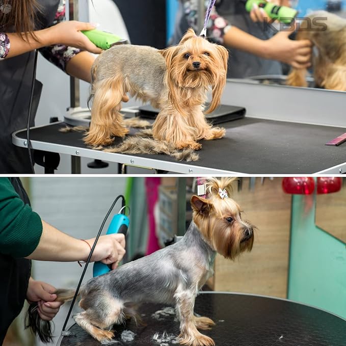 KBDS Detachable Pet Dog Grooming Ceramic Clipper Blades,Compatible with Most Andis,Oster A5/A6,Wahl KM Series Clippers,Size 5FC 1/4'' Inch 6.4mm Cut Length, 5F Blade