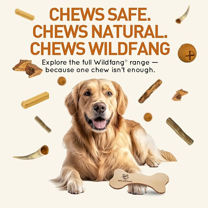 Wildfang® Leather Dog Toy, Large - Leather Bone for Teething Dog, Dental Toys for Puppies, Training for Chewing Muscles, Puppy Chew Bones for Light or Medium Chewers (for Dogs Over 33 lbs), Pack of 1