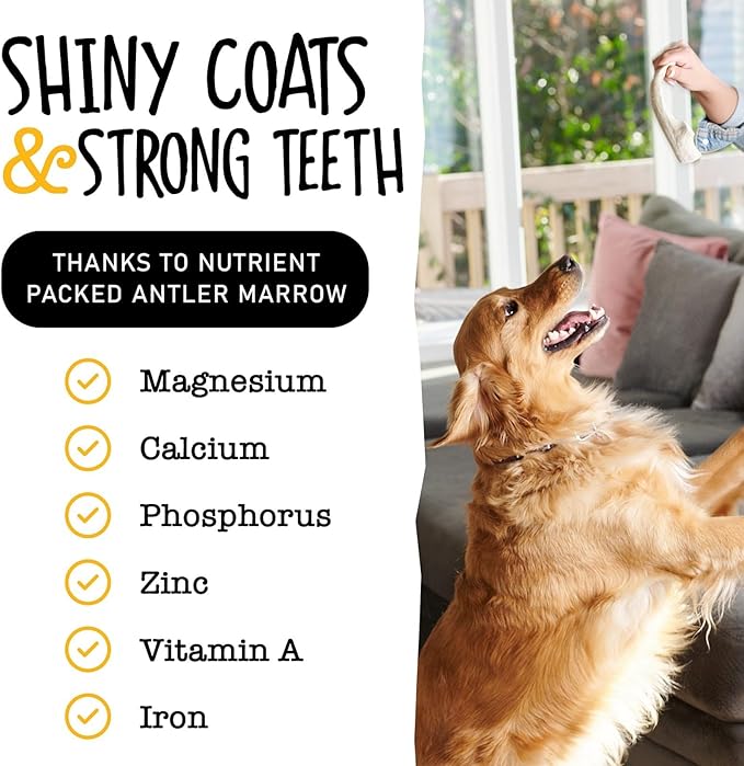 Snatchers Split Elk Antlers for Dogs – Long Lasting Dog Chews and Dog Toys for Aggressive Chewers, Naturally Shed Deer Antlers for Dogs Processed in The USA, No Additives (Medium, 5-7", 1 Count)