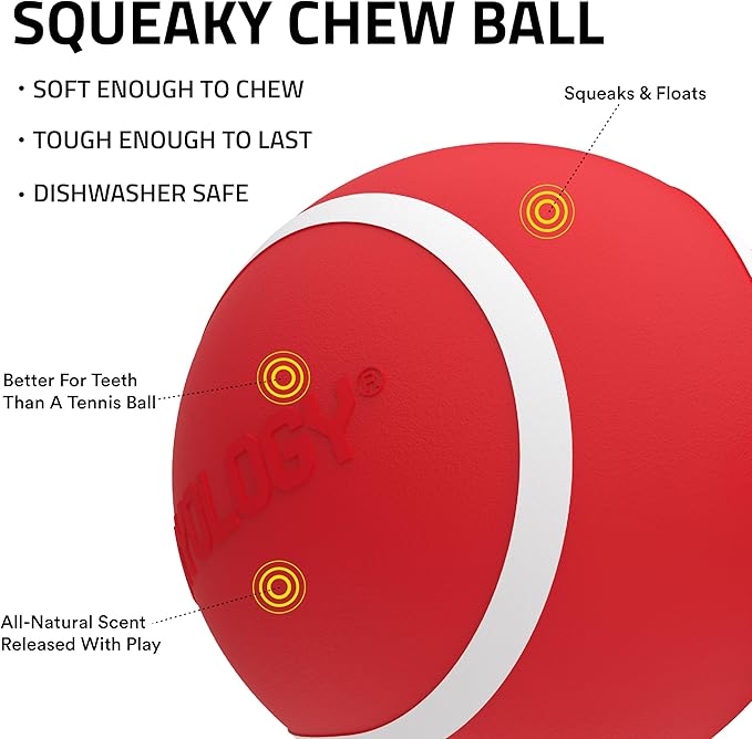 Playology Dog Toys | Squeaky Chew Ball - Bouncy Durable Floating Fetch Ball for Dogs, Value 3-Pack | Small Beef Scented Toy - Easy to Clean and Made from Non Toxic Materials