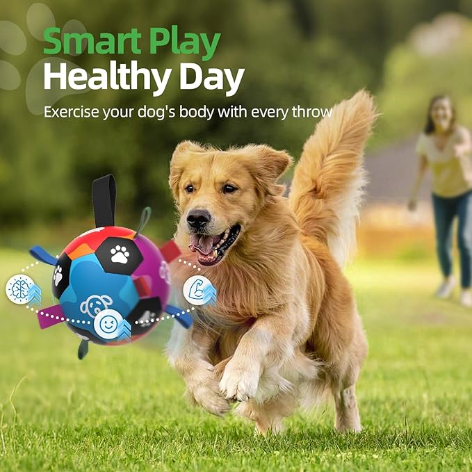 QDAN Dog Toys, Durable Dog Balls with Straps to Keep Them Busy, Outdoor Dog Soccer Ball for Small Medium Large Pets, Birthday Toy, Interactive Training Herding Ball (6 Inch)