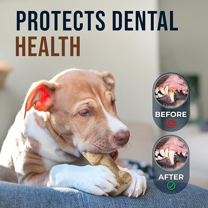 Gorilla Chew Toy Made from Real Coffee Wood - Coffee Wood Dog chew Large for Dog Over 70lbs 100% Natural, Organic Toys - Dog Health, Teeth Cleaning, Relieve Stress