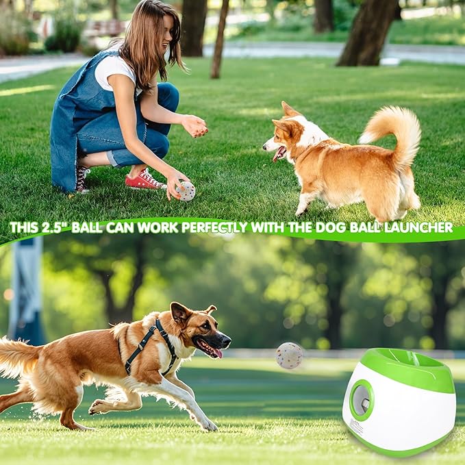 Dog Balls 2.5 Inch, Indestructible Dogs Tennis Balls 6 Pack for Aggressive Chewers, Durable Bouncy Floating Interactive Dog Toys for Large and Medium Dogs, Packed in Mesh Bag (ETPU Material)