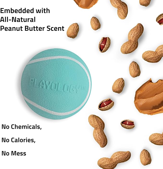 Playology Dog Toys | Squeaky Chew Ball - Bouncy Durable Floating Fetch Ball for Dogs | Jumbo Peanut Butter Scented Toy - Easy to Clean and Made from Non Toxic Materials