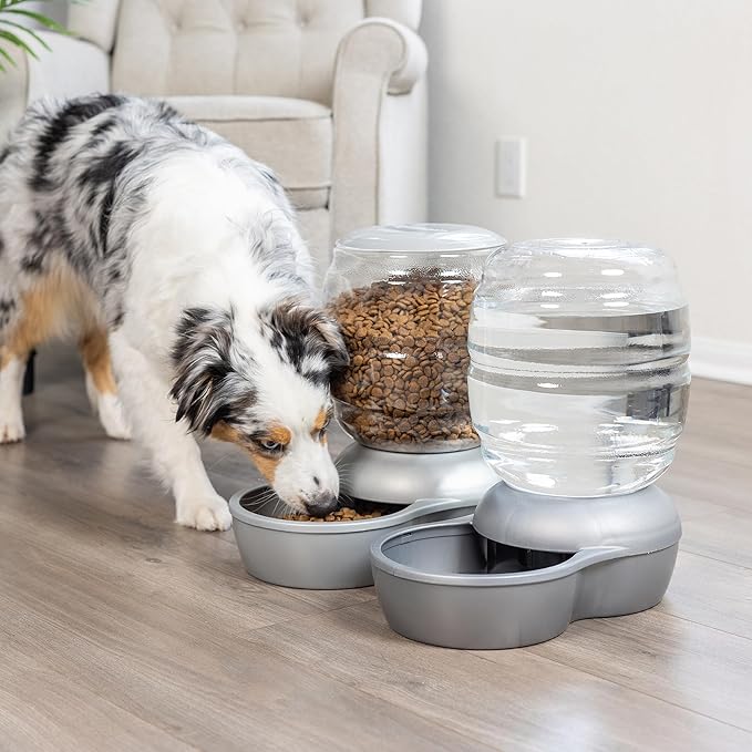 Petmate Replendish Feeder Automatic Cat and Dog Feeder, Pearl Peacock Blue, 10 LB, Made in USA