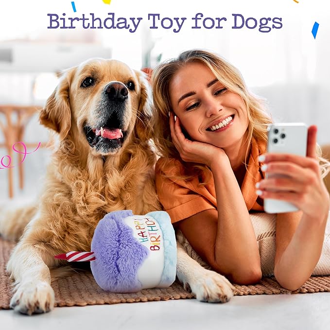 Dog Happy Birthday Cake Toy with Crinkle, Stuffed Plush Puppy Present for Birthday Party, Dog Toy for Small Medium