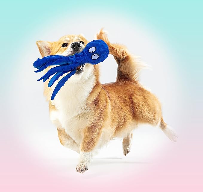 Squeaky Dog Toys Octopus - No Stuffing for Small, Medium and Large Breeds, Tough Dog Toys to Keep Them Busy, Durable and Soft Crinkle Plush Puppy Chew Toys for Teething and Boredom (Blue Octopus 1PC)