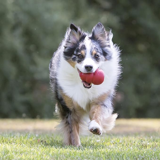KONG Classic Stuffable Dog Toy - Fetch & Chew Toy for Dogs - Treat-Filling Capabilities & Erratic Bounce for Extended Play Time - Durable Natural Rubber Material - for XX-Large Dogs