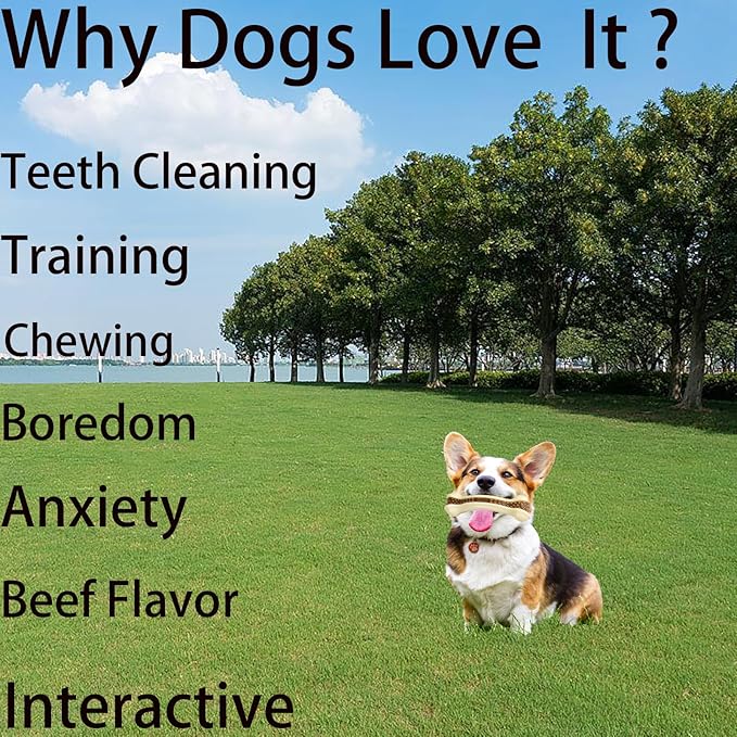 Dog Bones Chew Toys for Aggressive Chewers, 2 Pack Real Beef Flavor,Indestructible Dog Teething Chew Toys for Large/Medium/Small Breed,Tough Dog Toy with Durable Nylon
